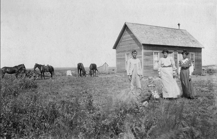 <oklahoma homestead Hardie W. Downer ~ Johnie Viola Downer Turner ~ Clara Downer Yocum ~ Ethel M. Downer farm house and barn four horses one saddled horse drawn farm machinery very young johnie viola downer with baby buggy and doll hardie's hat laying on the ground the location looks new there is a lot of undisturbed vegetation in foreground  >