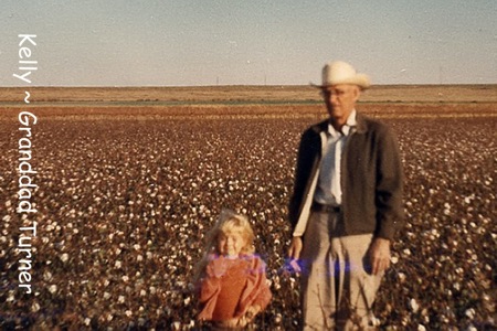 <cotton field>