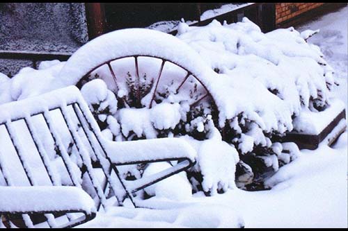 <taylor's backyard snow storm portales, NM>